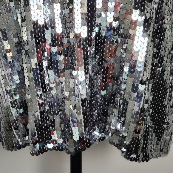 Vintage Silver Sequin Party Dress - Picture 9 of 11